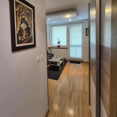 Garsonka S Klimou V Senici Appartement