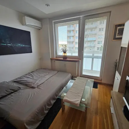 Garsonka S Klimou V Senici Appartement