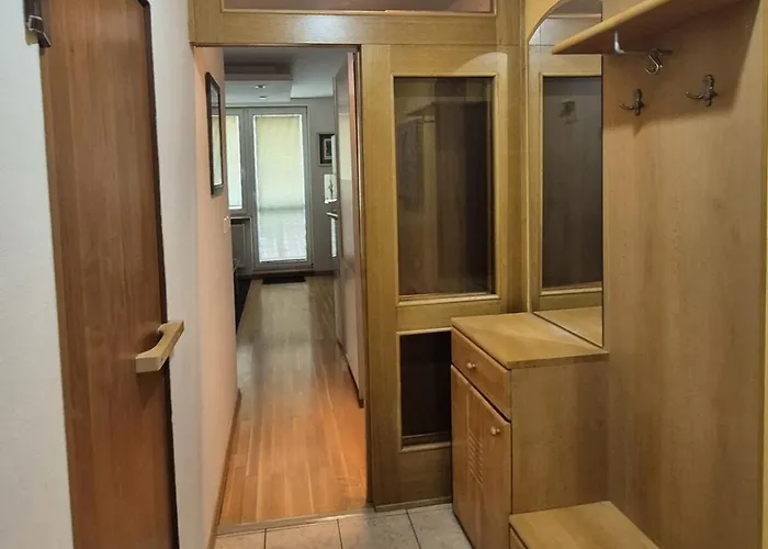Apartman Garsonka S Klimou V Senici Szenice